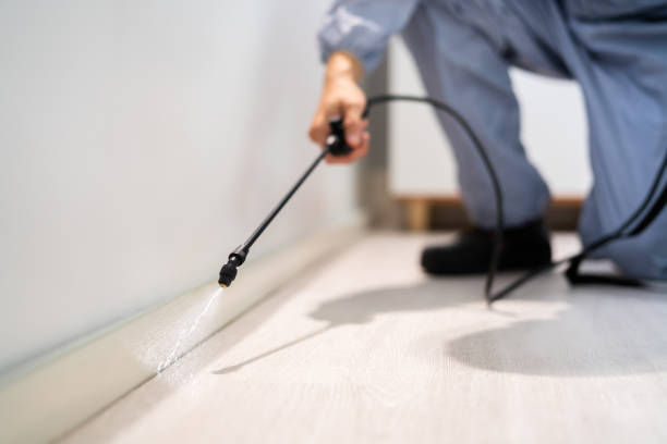 Bed Bug Pre-Treatment Preparation Assessment in Montura