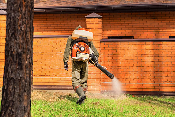 Bed Bug Clearance Verification and Documentation in Montura